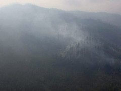 ОХУ-д гарсан түймэр Монголын хилийг давж, 7 км талбайг хамарсан байна