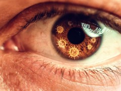 Вирусний гаралтай нүдний өвчлөл нэмэгджээ