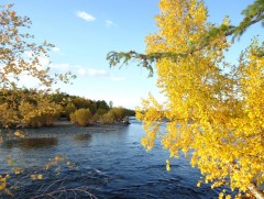 “Надаас эхлэх эх орон” тэмдэглэл 