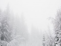 Арванхоёрдугаар сарын цаг агаарын урьдчилсан төлөв 