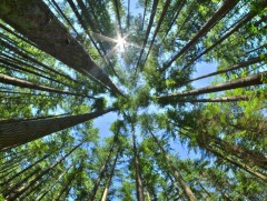 Миний мэргэжил: Ойн аж ахуйч