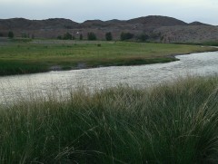 Хангайн нуруу, Онги гол