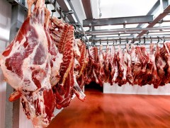 11 дүгээр сарын байдлаар 6300 тонн мах экспортолжээ