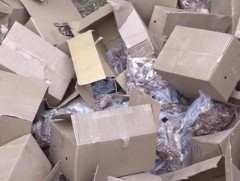 Чанарын шаардлага хангаагүй 0,8 тонн махыг устгалд оруулж байна