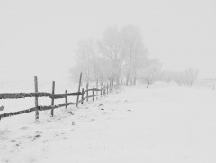 Говь, тал, хээрийн нутгаар салхи шуургатай байхыг анхааруулж байна