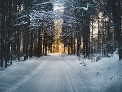 Сарын хуучийн тэнгэр