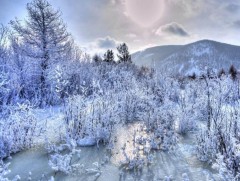 Өвлийн туйл, хүйтний ес эхэллээ