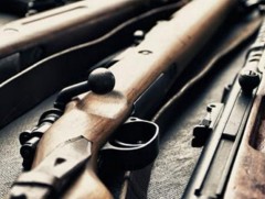 Иргэн, хуулийн этгээдийн өмчлөлд байгаа галт зэвсгийн тооллого нөгөөдөр дуусна