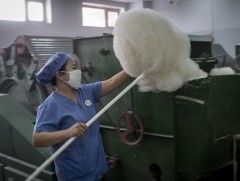 Ноос, ноолуурын салбар ажиллах хүчний хомсдолтой байна