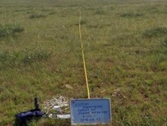 Улсын хэмжээнд отрын нөөц бэлчээр нийт бэлчээрийн 0.6 хувийг эзэлж байна