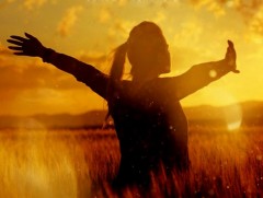 Өдөрт долоон харандаа...