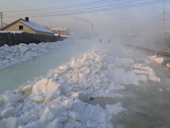 Халиа тошин үүсэж буй байршлуудад шуурхай арга хэмжээ авч байна