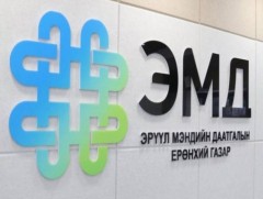Салхин цэцэг өвчний эмийн эмчилгээг ЭМД-аас бүрэн хариуцна