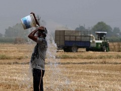 Америкийн эрдэмтэд: 2022 он түүхэн дэх 5 дахь халуун жил байсан