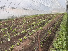 Дорнод аймаг “Хүлэмж төсөл