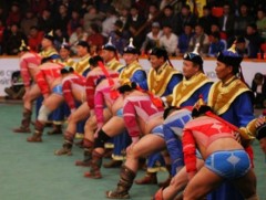 Хүчит 256 бөхийн барилдаан энэ амралтын өдрүүдэд болно