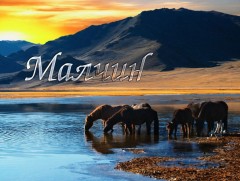 Мянгат малчны хотонд...