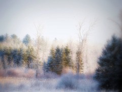 Хаврын өглөө ууландаа мөргөхүй