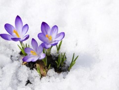 Хаврын амьсгал