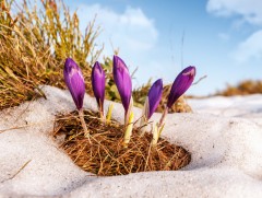 Хавар хайр хоёр