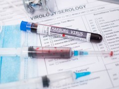 Гвиней улсад үхлийн аюултай 