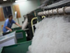 Ноос, ноолуурын салбарт ажиллагсдын дундаж цалин 1 сая 54 мянга байна