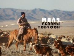 Буур дагасан ааль аяг