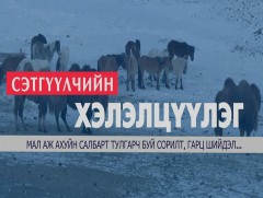 Сэтгүүлчийн хэлэлцүүлэг “Эрчимжсэн мал аж ахуй”