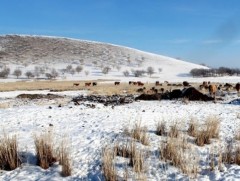 Гуравдугаар сарын цаг агаарын ерөнхий төлөв