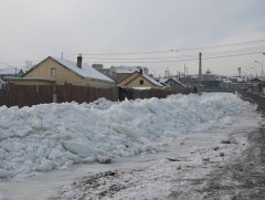 Нийт 20 гаруй байршилд халиа тошин үүсчээ 