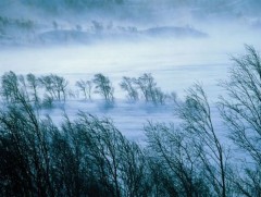 ЦАГ АГААР: Хангай, Хөвсгөлийн уулсаар цас орж, шуурга шуурна