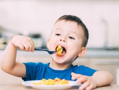 Дутуу зажилсан хоол 