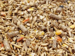 Тэжээлийн үйлдвэрлэл эрхлэгчдэд 1 тэрбум хүртлэх төгрөгийн хөнгөлөлттэй зээл олгоно