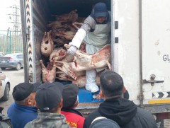 Нөөцийн махны өргөтгөсөн худалдаа болж байна 