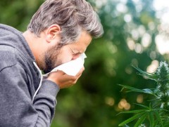 Ургамлын харшил жил бүрийн 4-9 сард үргэлжилдэг 