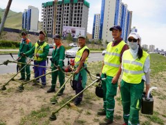 Хогийн ургамал устгах ажлыг зохион байгуулна