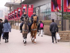 Хорин морьт эргүүл 10 чиглэлд ажиллаж байна