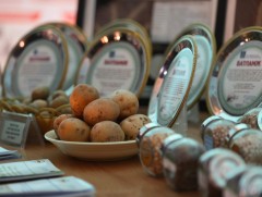 Элит үрийн хангамжийг нэмэгдүүлэх шаардлагатай байна