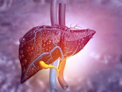 Элэгний фиброз ба цирроз өвчний хэвтүүлэн эмчлэх тусламж, үйлчилгээний 85 хувийг ЭМД-ын сангаас хө..