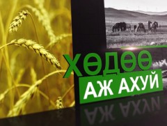 ХХААХҮЯ 2023 оны зээлийн хүүгийн татаасанд 135.5 тэрбум төгрөгийг зарцуулна