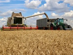 НҮБ: Үр тарианы хэлцлийг сунгах асуудлаар ОХУ-ын Ерөнхийлөгчийн хариуг хүлээж байна