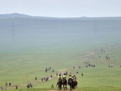 Их насны морьд гарааны зурхайгаас эргэлээ