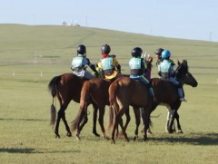 Сонгомол дээд насны уралдаанд нийт 87 хурдан морь бүртгүүлжээ