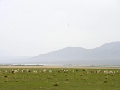 Нартай, хуртай зуны өдрүүд