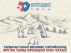 Тарваган тахал өвчнөөс сэргийлэхэд иргэнтаны оролцоо нэн чухал...