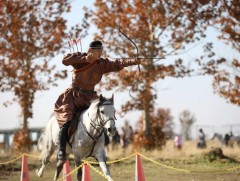 Морьт харвааны Дэлхийн аварга шалгаруулах тэмцээн Монгол Улсад анх удаа болж байна