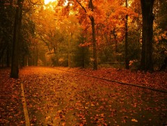 Намрын улиралд стресст өртөх магадлал нэмэгддэг