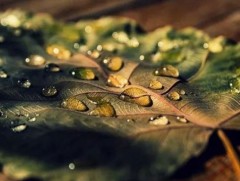 Энэ 10 хоногт цаг агаар ямар байх вэ 