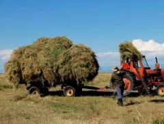 Малчид хямд зардлаар өвлийн бэлтгэлээ хангаж байна