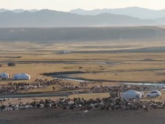 Байгаль, цаг агаараа шинжих уламжлалт арга хашир туршлагатай малчдад бий